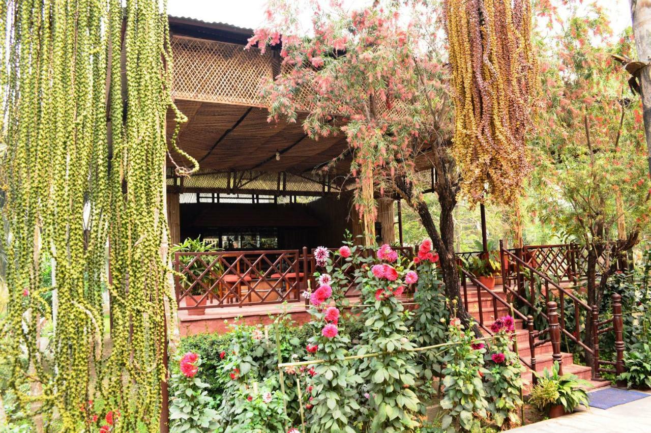 Chitwan Paradise Hotel Sauraha Ngoại thất bức ảnh