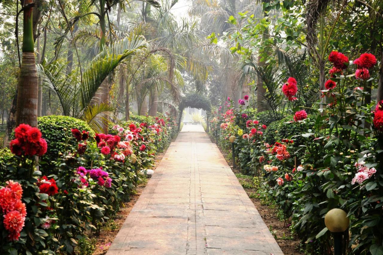 Chitwan Paradise Hotel Sauraha Ngoại thất bức ảnh