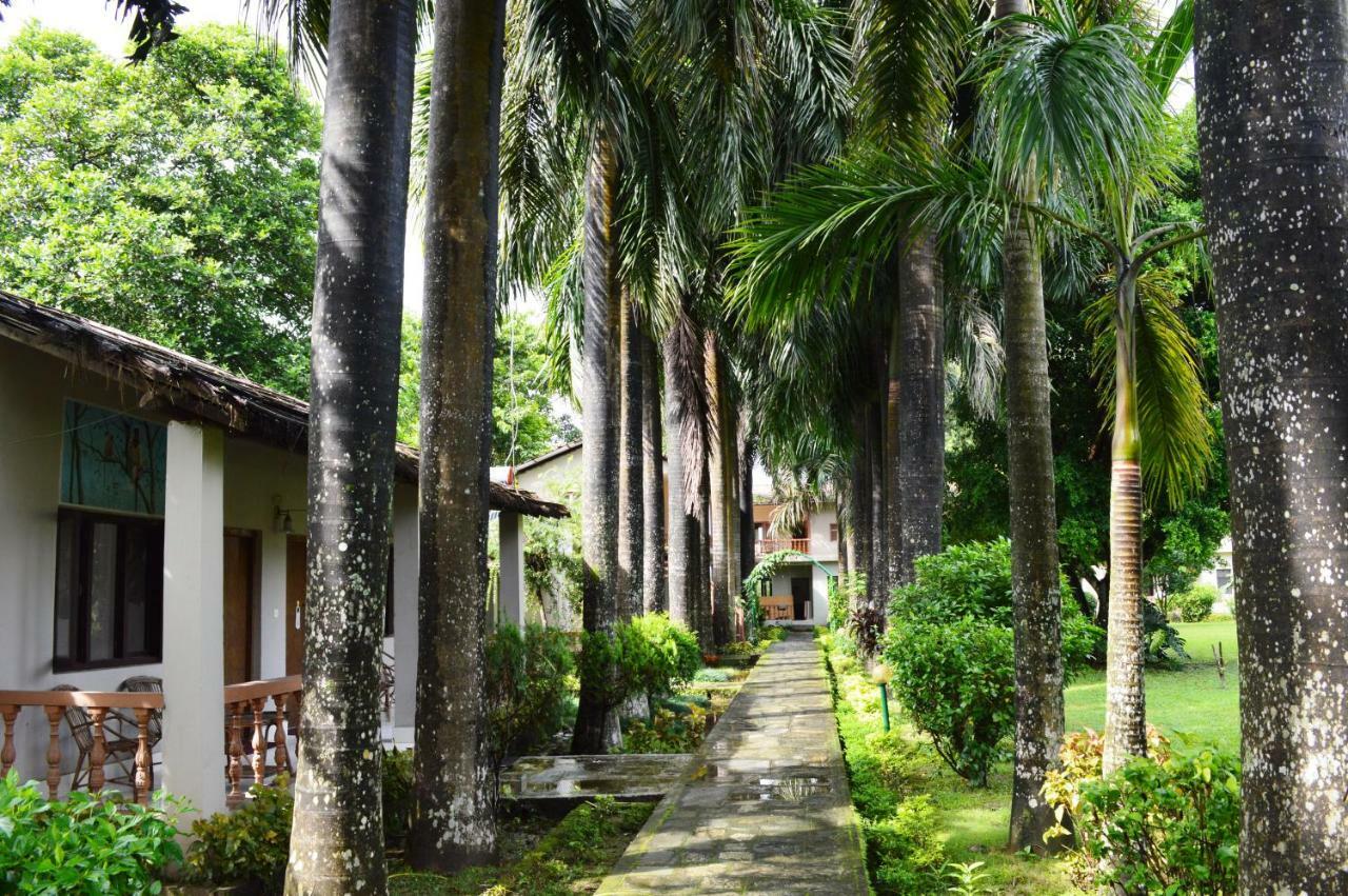 Chitwan Paradise Hotel Sauraha Ngoại thất bức ảnh